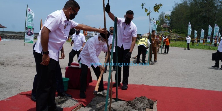 Mitigasi Bencana Tsunami dan Abrasi, Maaruf Amin Tanam Pohon di Pantai Kata Pariaman