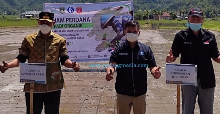 Bank Indonesia Buka SLIO Klaster Padi Organik di Agam