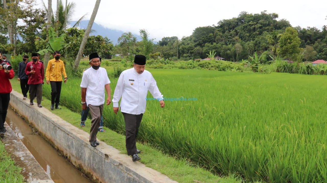 Kunjungan Magek