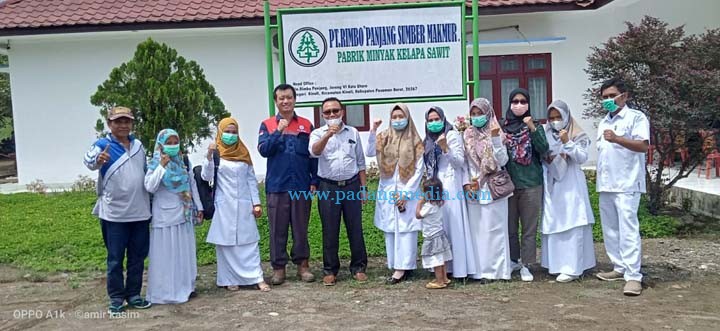 Kelapa sawit