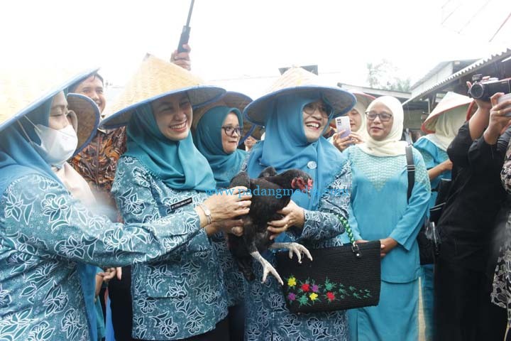 Lomba PKK sb