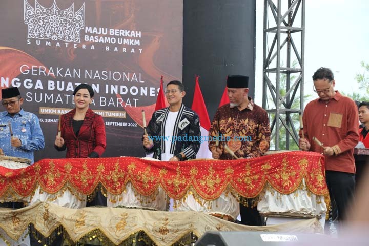Buatan indo