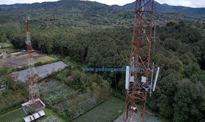 Pansela