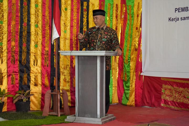 Sawah