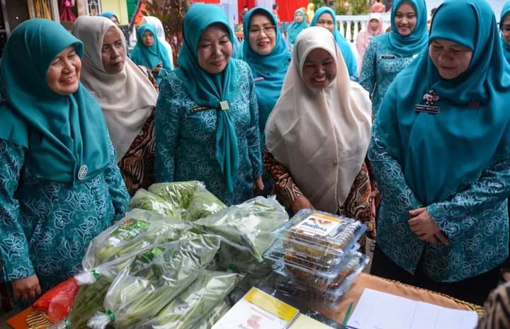 TP PKK koto panjang