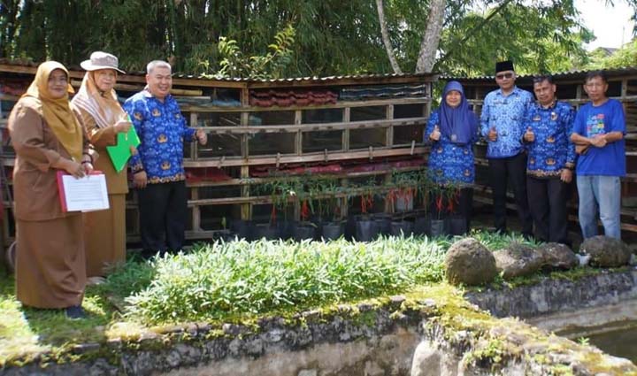 Evaluasi Hasil Gerakan Menanam Cabai Serentak, Dispangtan Lakukan Penjurian