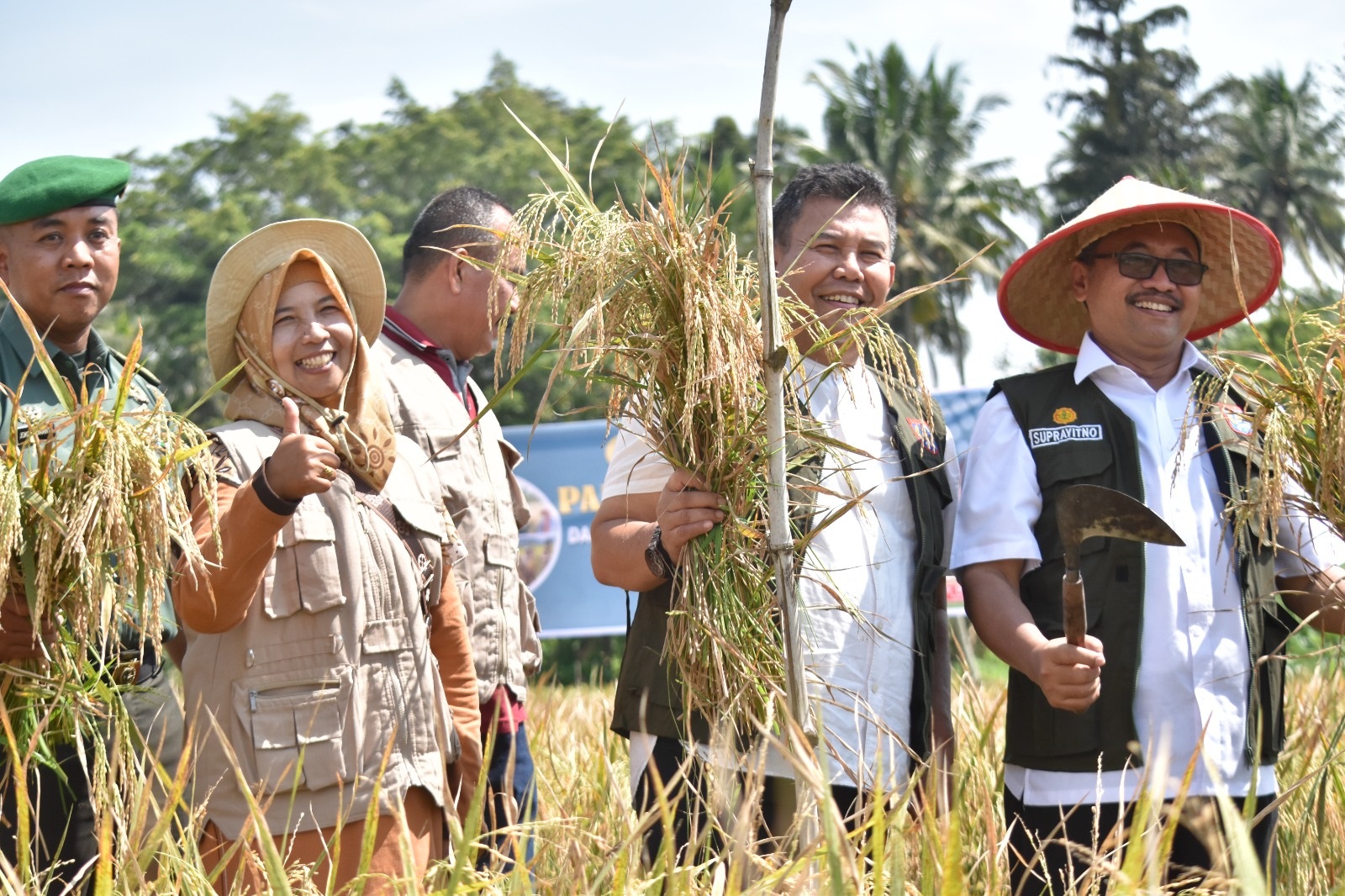 Pj Walikota Payakumbuh Lakukan Panen di Batang Agam Bulakan Balai Kandi