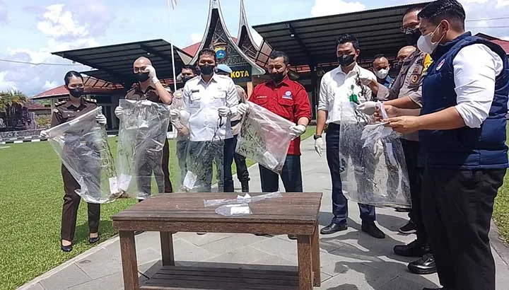 Polres Limapuluh Kota Musnahkan Barbuk Ratusan Batang Ganja