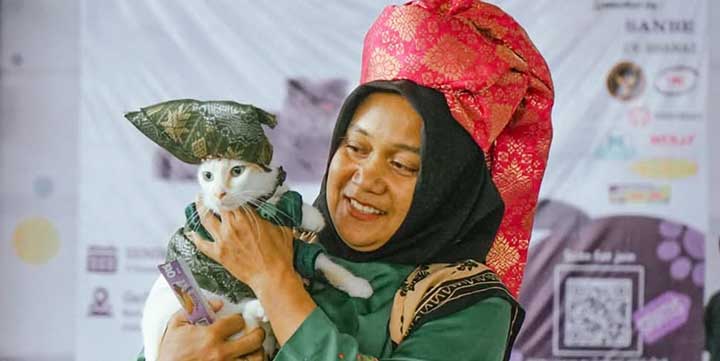 Meriahkan HJK, PDHI Sumbar Gelar Kontes Kucing Sehat di Papafest 2024