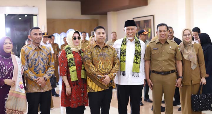 Hendri Anis