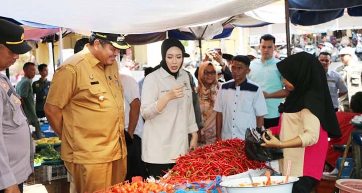 Pantau harga