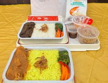Makan pesawa