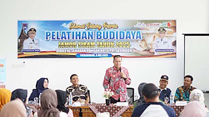 Budidata jamr