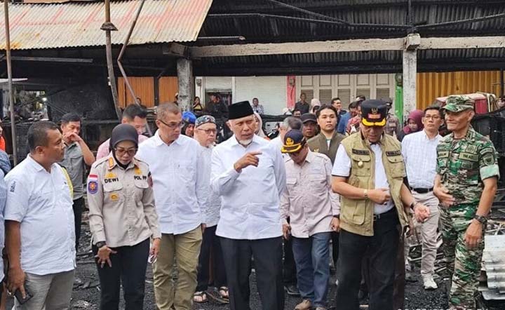 Gub tinjau kebakaran