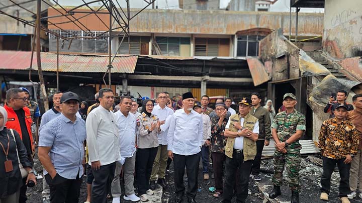 Tinjaua pasar