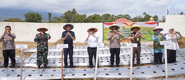 Petani pp baru