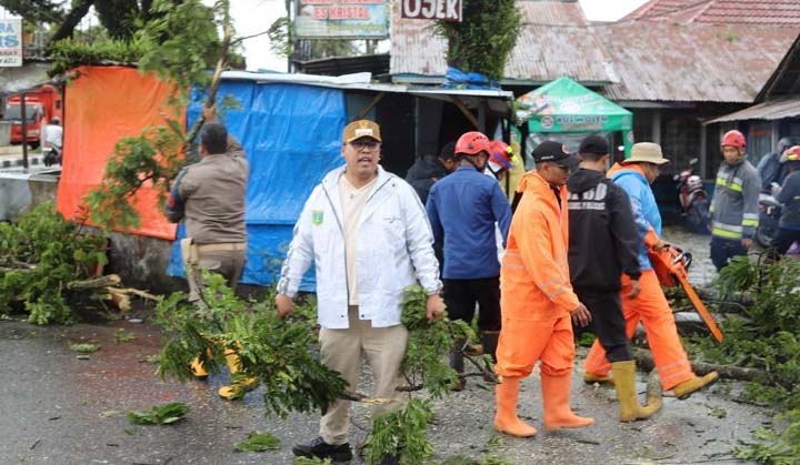 Pemangkasan