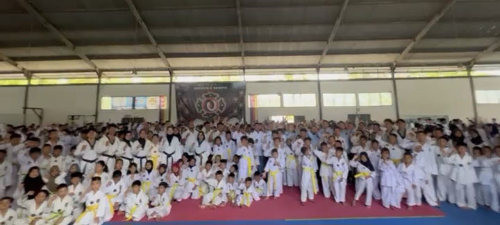 Taekwondo