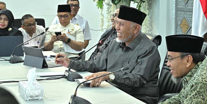 Sinergi