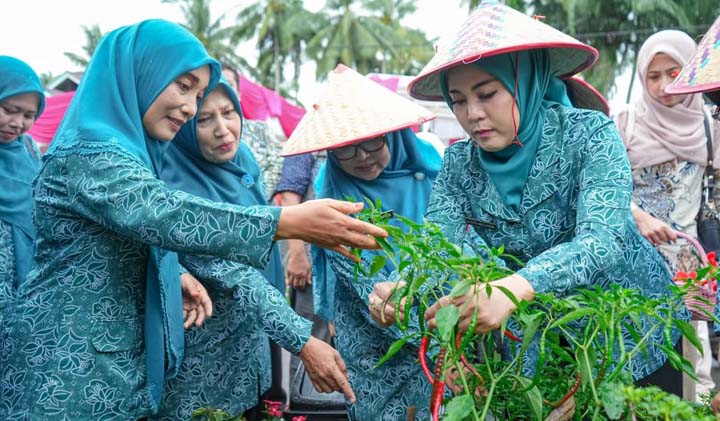 TP PKKdi ladang
