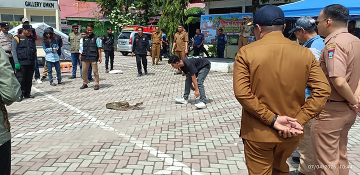 Menangkap ular