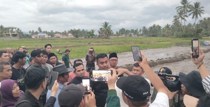 Ada dsolo